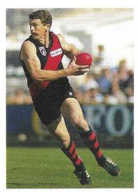 1991 Select AFL Stickers #80 Chris Daniher Front
